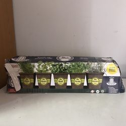 Windowsill Herb Garden Kit