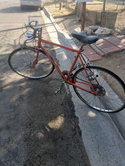 1973 Schwinn 10 speed