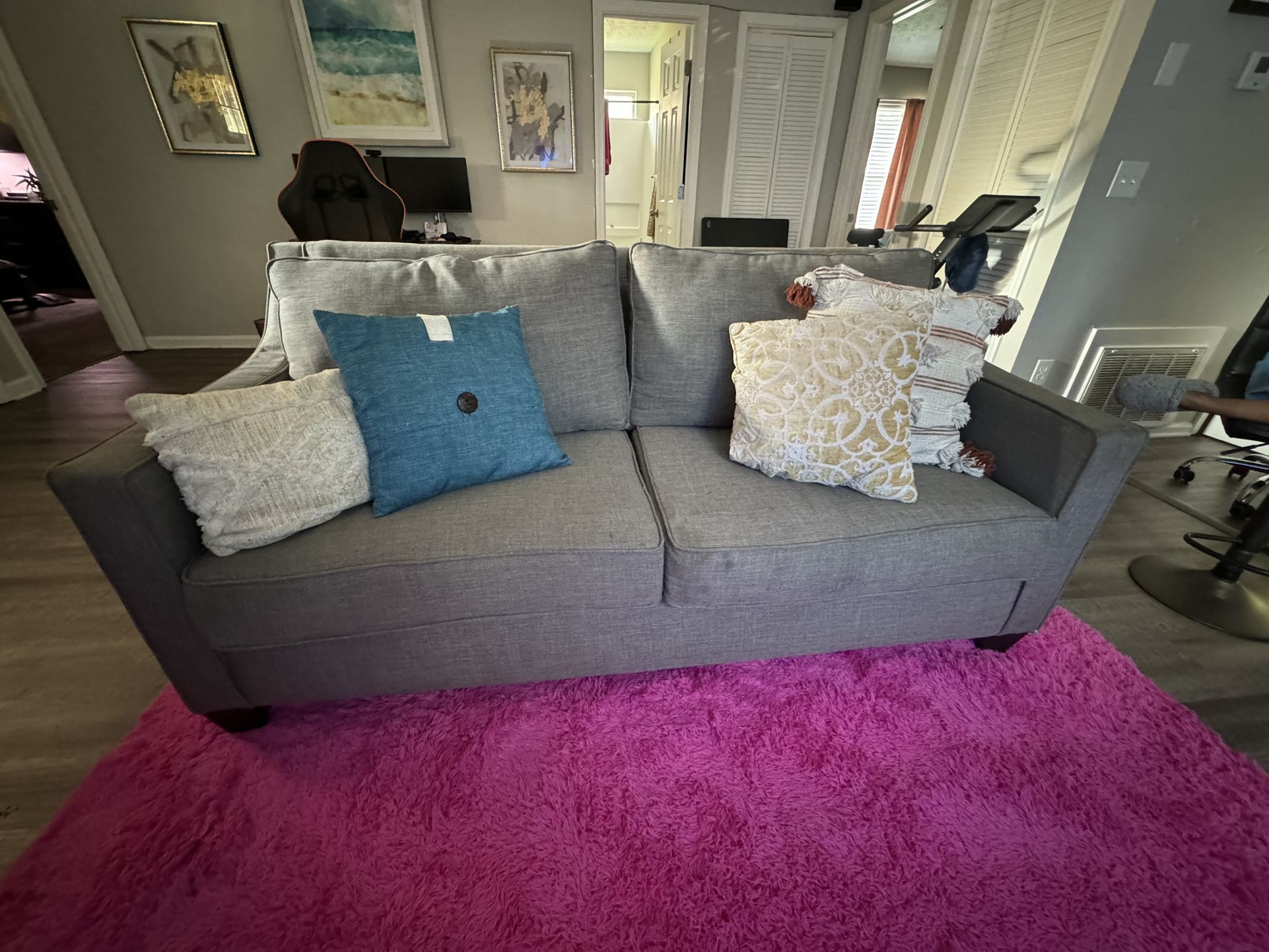 Modern Grey Sofa 4 Stylish Pillows included!