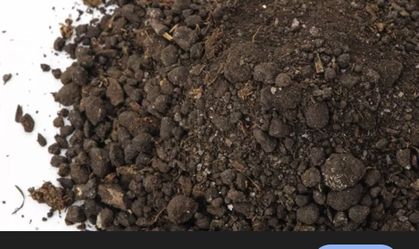 Free Clean Dirt