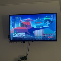 Silo Tv  32”