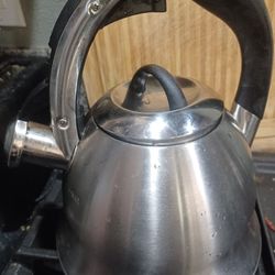 Stainless Steel Whistling Tea Kettle 