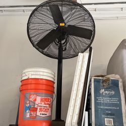 Xl Fan 