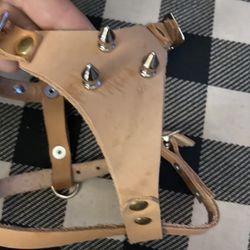 Leather Dog Harness