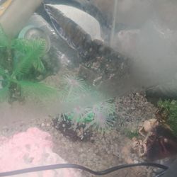 Complete Square Fish Tank Rectangle Shaped
