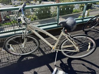 Schwinn Golden Tone Bike