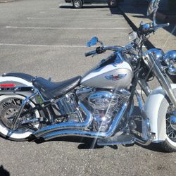 2008 Harley Davidson Softail Deluxe