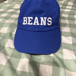Bush’s Baked beans hat