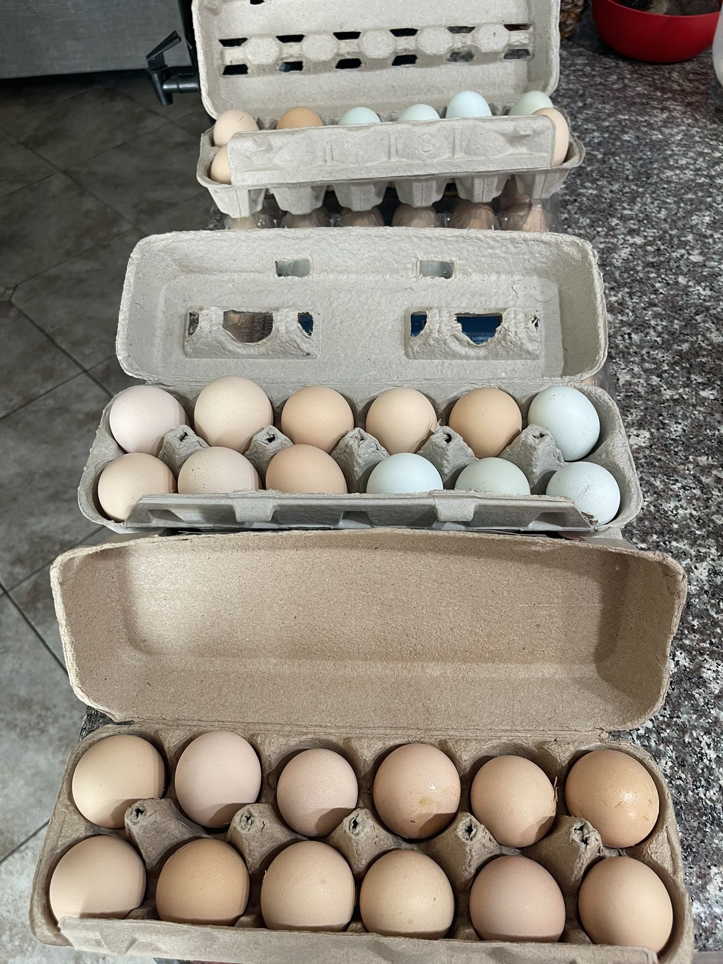 organic eggs