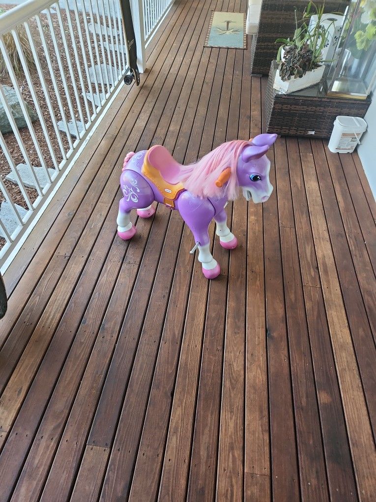 riding horse 80$