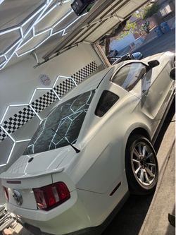 Mustang shell