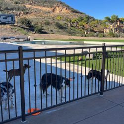 36” Wrought Iron With Gates