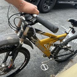 Mountain Bike  $80 