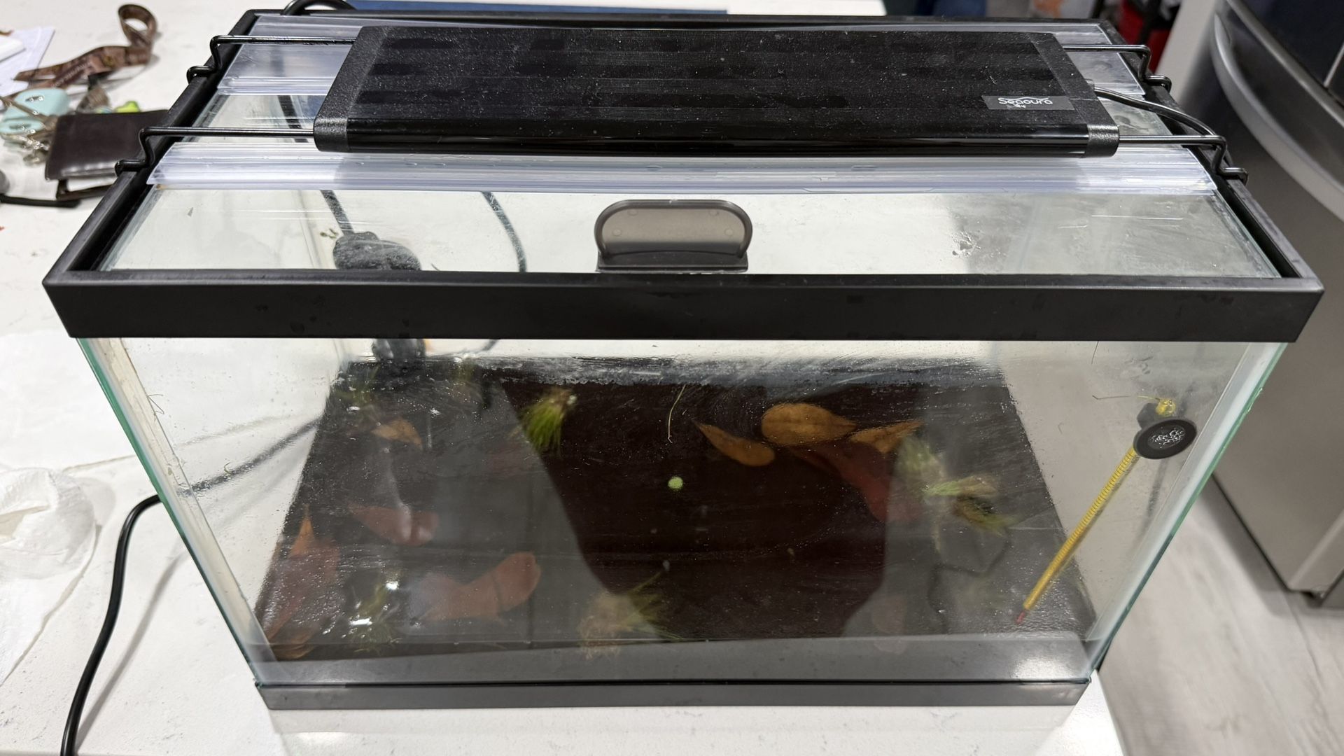 5.5 Gallon Tank With Accessories