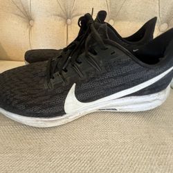 Nike Pegasus
