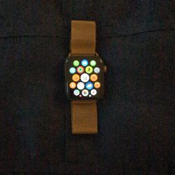 Apple Watch Series 6 Stainless Steel Gold 44mm
