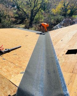 Shingle Roof