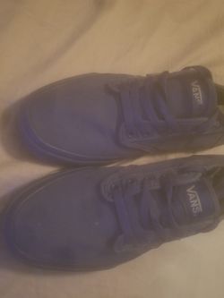 Blue Van's Size 11.5