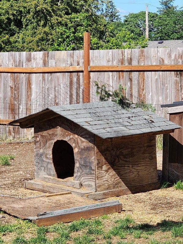 Dog House
