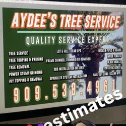 Trees & Turf