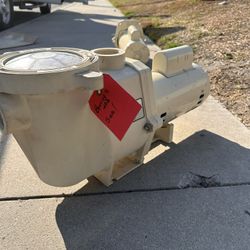Pool Pump 
