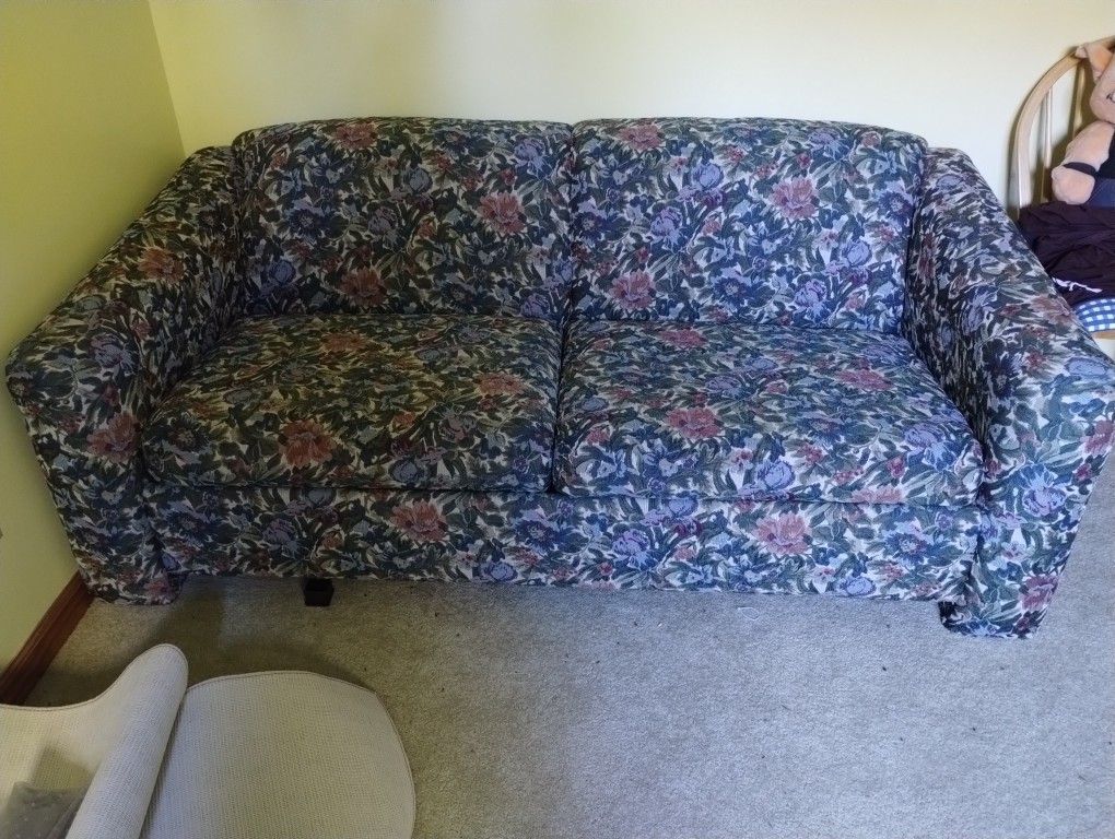 Sleeper Sofa 