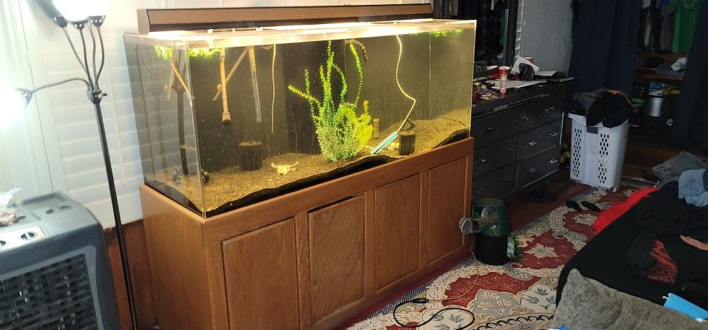 230 Gallon Plexiglass Aquarium