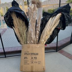 Dried Pampas Grass