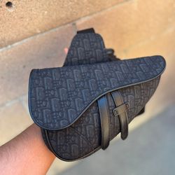 Dior Saddle Bag 220