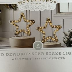 Wondershop led dewdrop star stake lights
