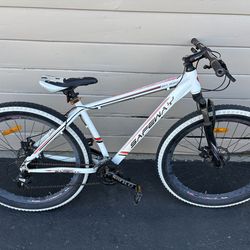 26” Mountain Bike