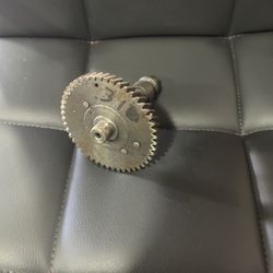 310 Mini Bike Predator 212 Cam