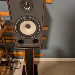 Triangle Hi-Fi Bookshelf Speakers ( boreo)