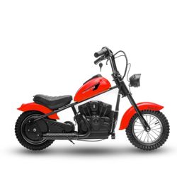 Electric bike