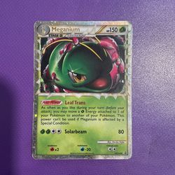 Meganium 