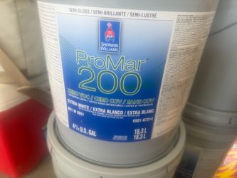 Professional grade paint
