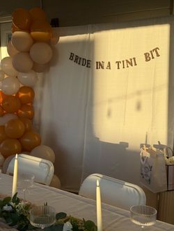 Bride In A Tini Bit Banner