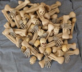 Bones, Bones, And More Bones