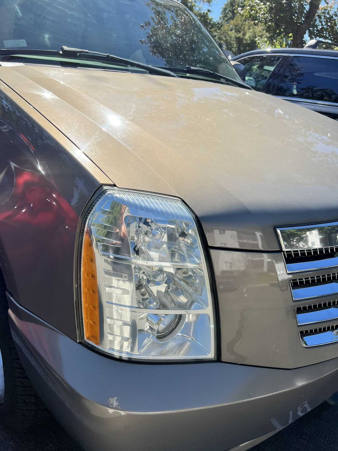 Head Light Restoration