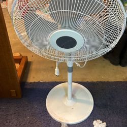Fan