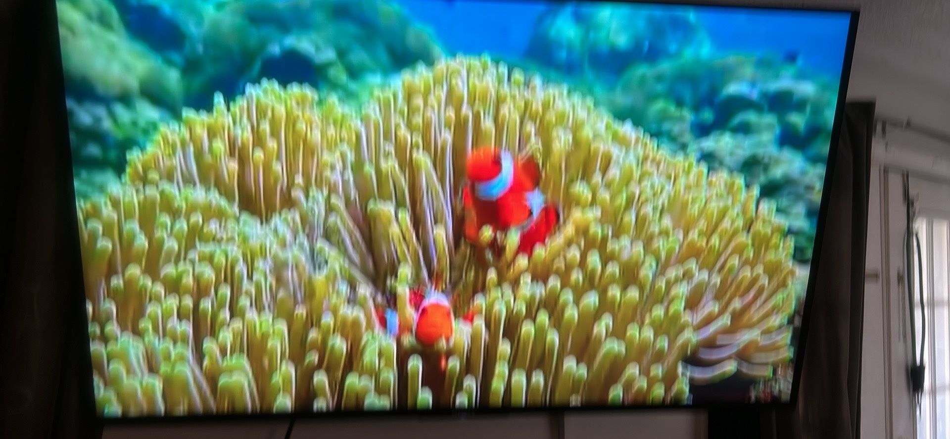 Sony XBR49X800E 49-Inch 4K Ultra HD Smart LED TV