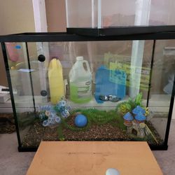 Fish Tanks