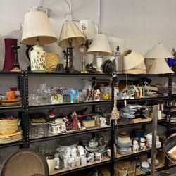 Everything On The Shelves (not The Shelves)