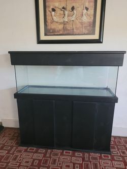 Fish Tank Aquarium