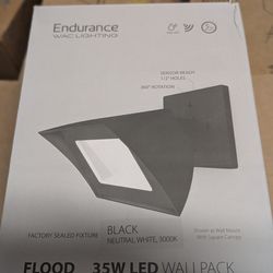 Flood Light