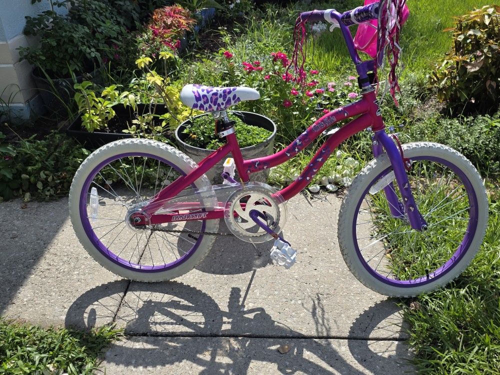 New 20in Dynacraft Girls Rule BMX Bike