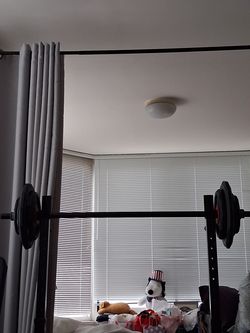 Barbell with weights and squat rack