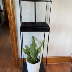 Glass Terrarium Plant Stand 
