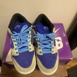 Nike SB Dunk Low Pro