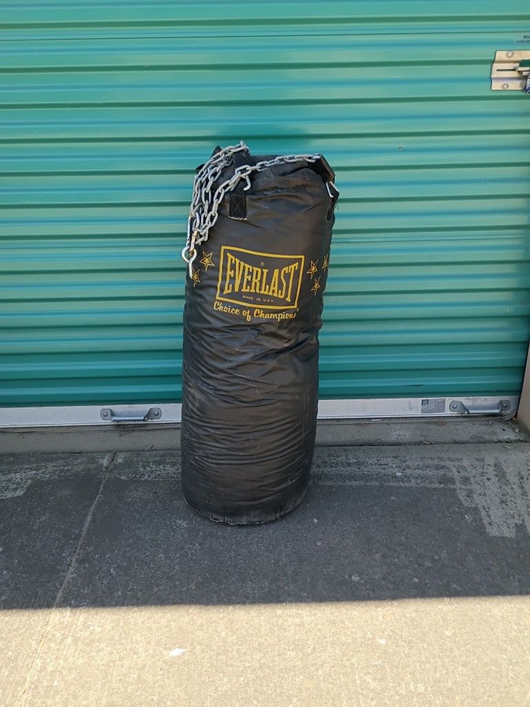 Everlast Punching Bag 20 Dollars Pick Up Only